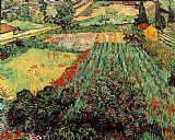 Field with Poppies by Vincent van Gogh